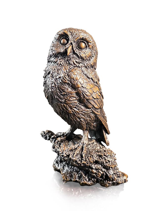 Little Owl (1292) by Keith Sherwin