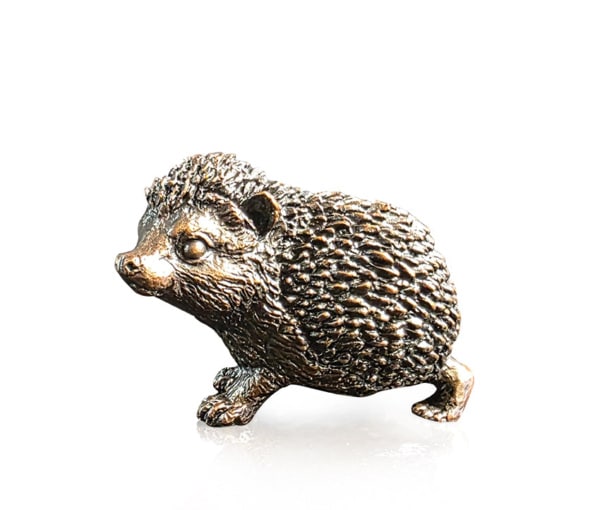 Baby Hedgehog (1298) by Keith Sherwin
