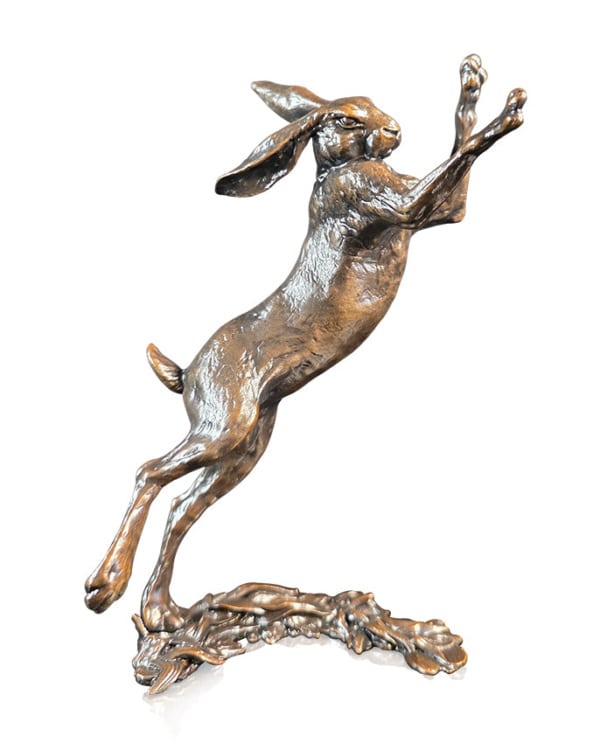 Medium Hare Boxing (1283)
