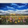 Kimberley Harris — Sunrise Meadows