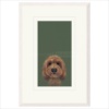 Nicky Litchfield — The Look... (framed 2)