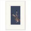 Nicky Litchfield — Spellbound (framed 2)