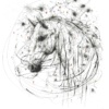Scott Tetlow — Cosmos (mounted)