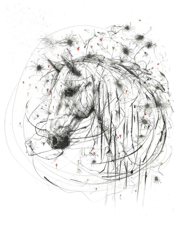 Scott Tetlow — Cosmos (mounted)
