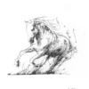 Scott Tetlow — Freedom - Miniature (mounted)