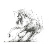 Scott Tetlow — Freedom (mounted)