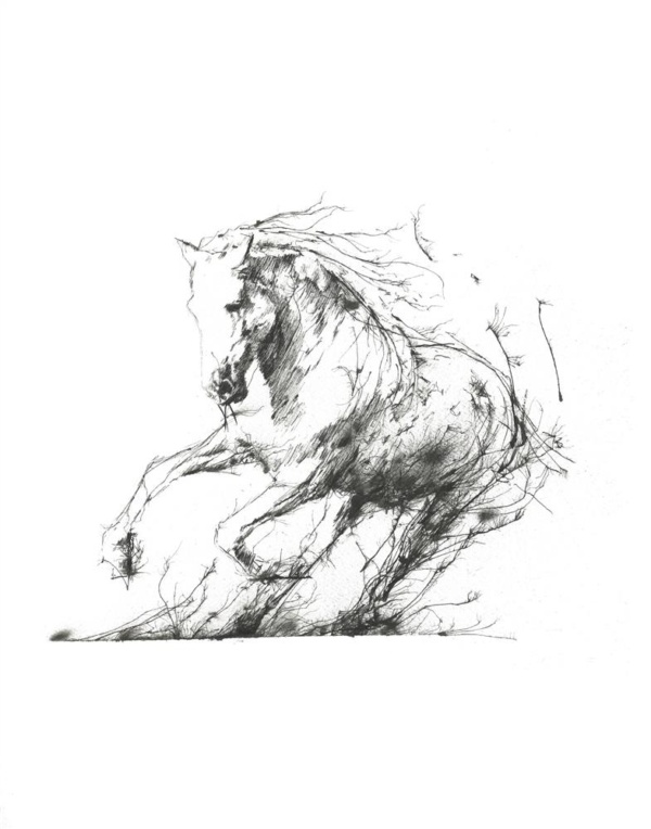 Scott Tetlow — Freedom (mounted)