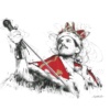 Scott Tetlow — King Of Queens (mounted)