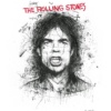 Scott Tetlow — Moves Like Jagger - Miniature (mounted)