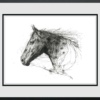 Scott Tetlow — Natural Grace (framed)