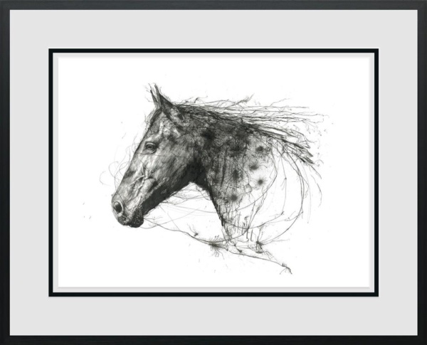 Scott Tetlow — Natural Grace (framed)