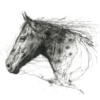 Scott Tetlow — Natural Grace (mounted)