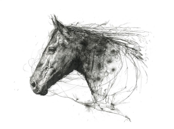 Scott Tetlow — Natural Grace (mounted)
