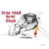 Scott Tetlow — Slow Your @%_! - Miniature (mounted)