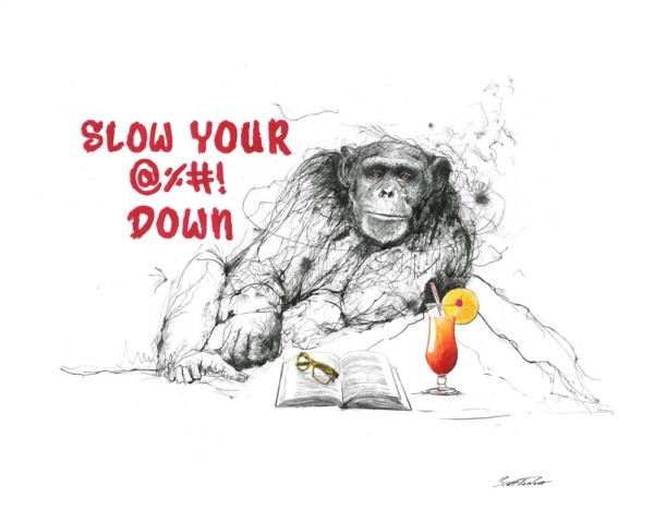 Scott Tetlow — Slow Your @%_! - Miniature (mounted)