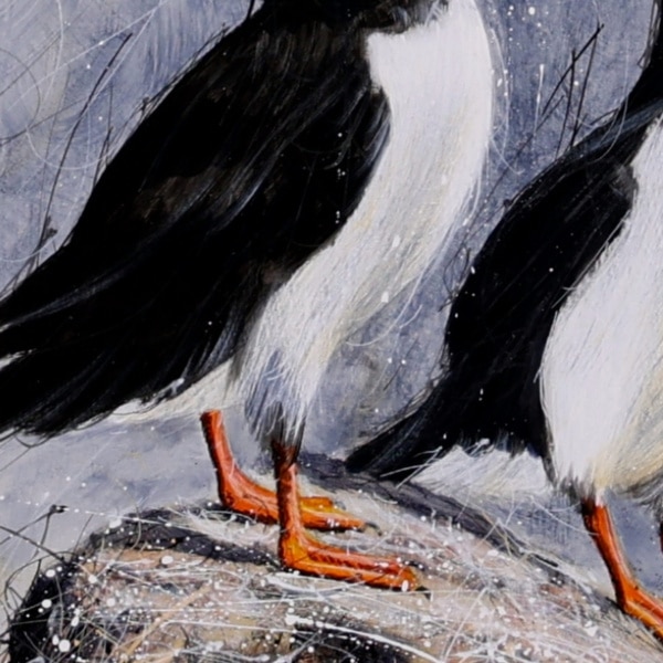 Ruby Keller — Puffin Pair (view 3)