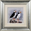 Ruby Keller — Puffin Pair