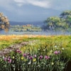 Allan Morgan — Magenta Field (view 3)
