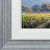 Allan Morgan — Magenta Field (view 14)
