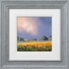 Allan Morgan — Golden Fields