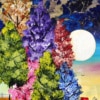 Rozanne Bell — Dreamy Night (view 13)