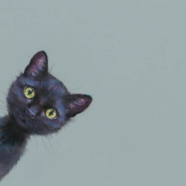 Nicky Litchfield — Lucky