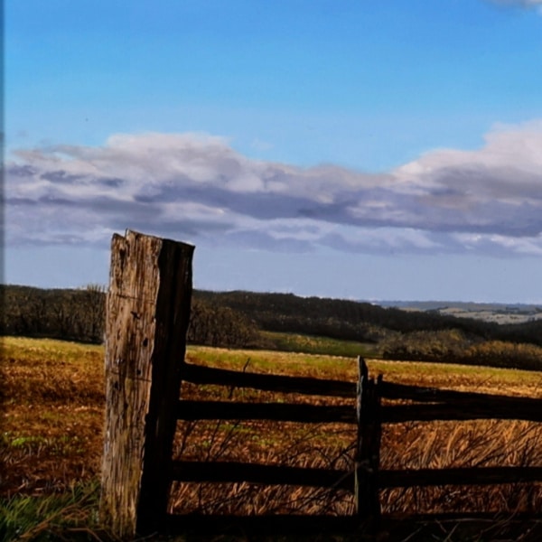 Michael James Smith — A Bright Winters Day (view 3)